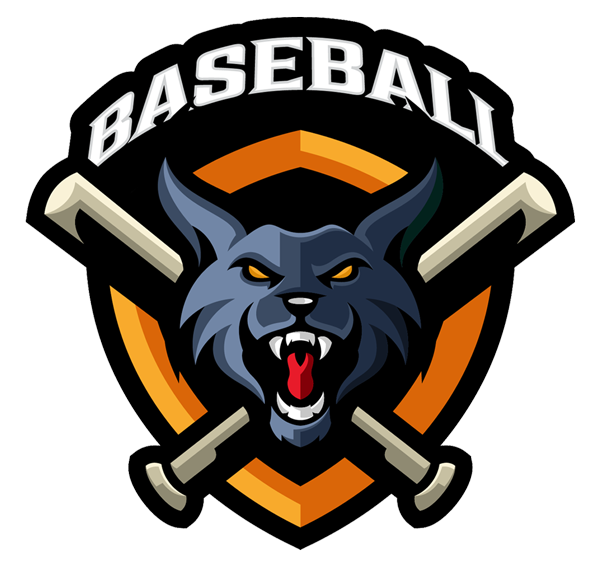 Baseball 5